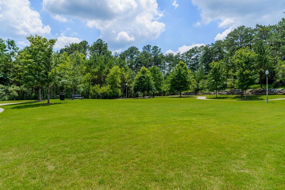 Open lawn ringed by trees in Liberty Park